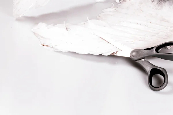 Scissors cutting angel's wing — Stock Photo, Image