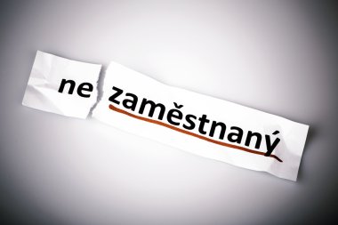 word işsiz'çek istihdam değiştirildi