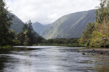 Beautiful river - waipio valley, hawaii clipart