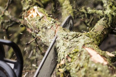 adam onun arka bahçesinde bir günlük kesme tezgahlar