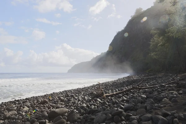 Krásné černé kamenná pláž - waipio údolí, Havaj — Stock fotografie