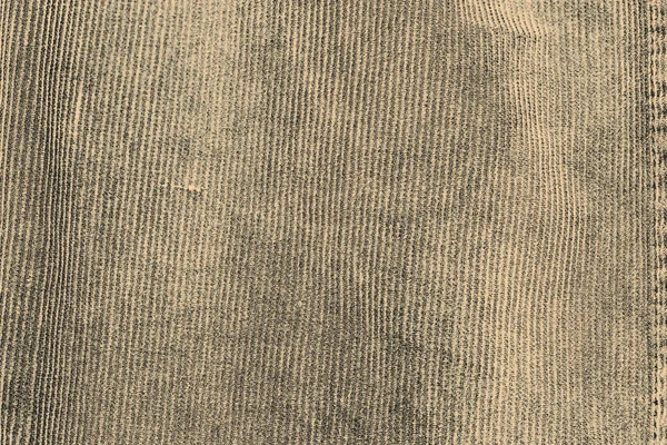 Texture corduroy — Stock Photo, Image