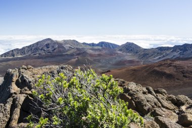 Mauna loa stüdyo