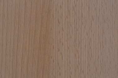 白い背景の上のゴム製スタンプ ベクトルのグリーンはい