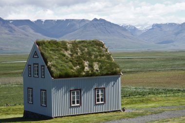 çatı çimen ile eski İskandinav evi