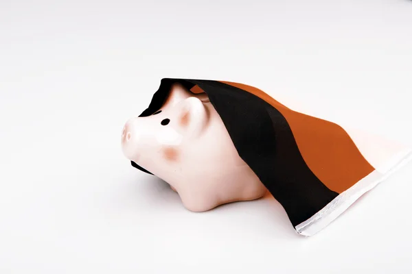 Caixa de dinheiro de porco e bandeira da Alemanha — Fotografia de Stock