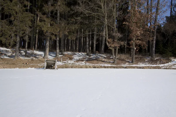 Estanque bajo la nieve en invierno —  Fotos de Stock