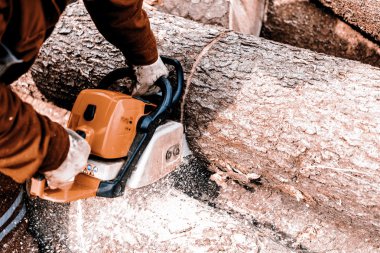 adam onun arka bahçesinde bir günlük kesme tezgahlar