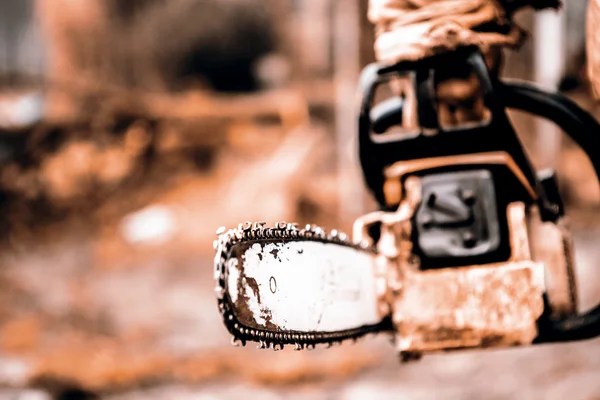 Mann sägt Baumstamm in seinem Hinterhof — Stockfoto