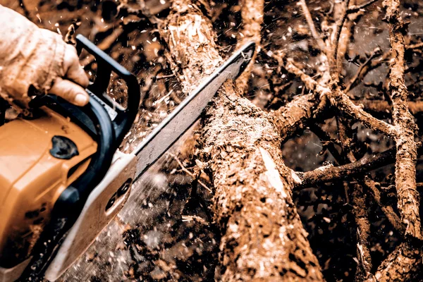 Man sawing a log in his back yard — Stock Photo, Image