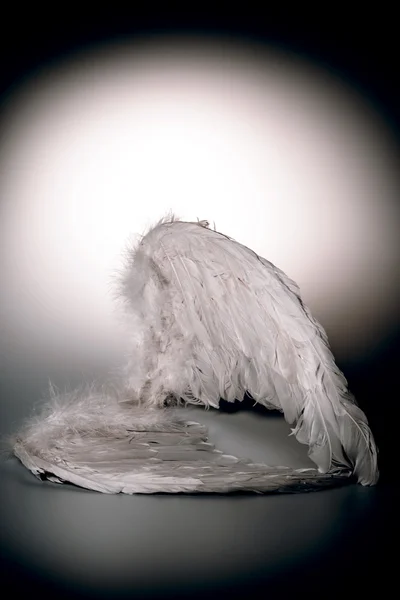 Angel's wings on white background with glow — Stock Photo, Image