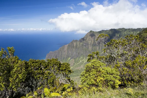 Costa di Na Pali - Kauai, Hawaii — Foto Stock