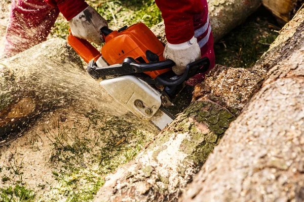 Mann sägt Baumstamm in seinem Hinterhof — Stockfoto