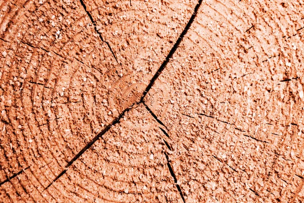 Textura de madera — Foto de Stock