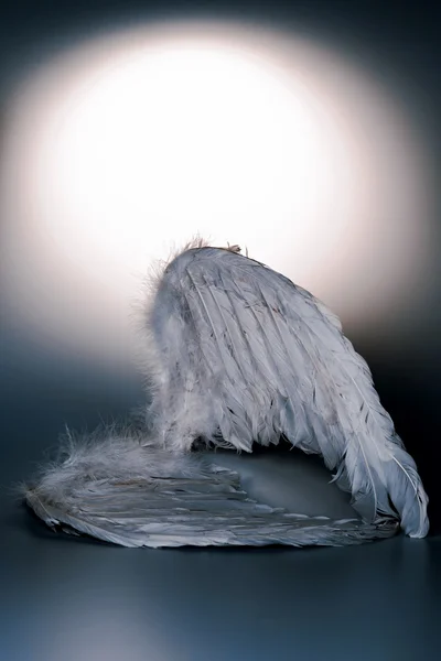 Aripile îngerului pe fundal alb cu strălucire — Fotografie, imagine de stoc