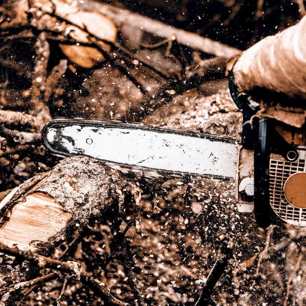 Man sawing a log in his back yard — Stock Photo, Image