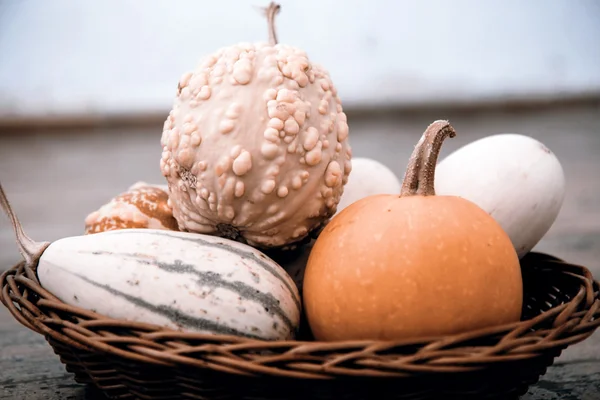 Pumpkins in the basket — Stock Photo, Image