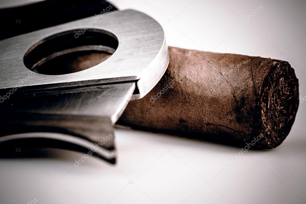 Cigar and cutter on a white background