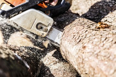 adam onun arka bahçesinde bir günlük kesme tezgahlar