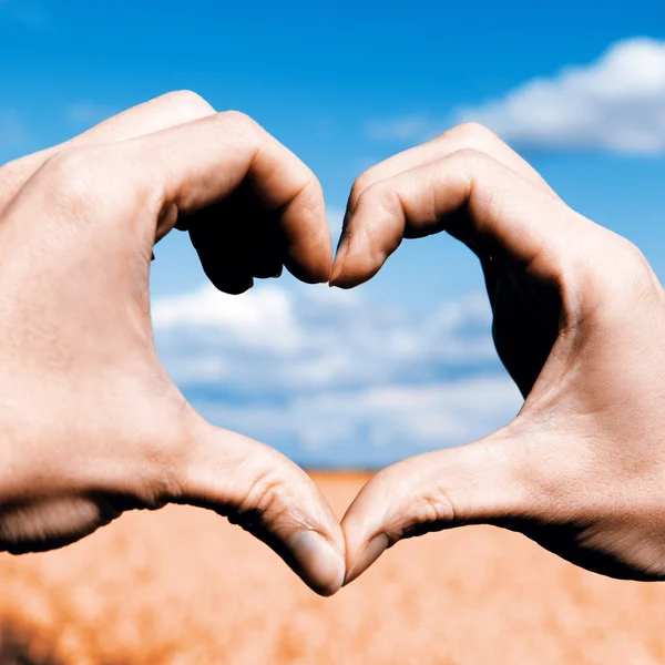 Las manos en forma de amor - el corazón en el campo amarillo y el cielo azul —  Fotos de Stock