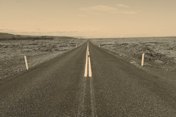 Дорога в никуда
