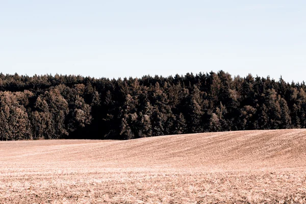 Ländlicher Raum — Stockfoto