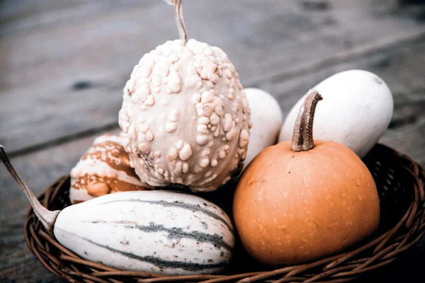 Calabazas en la cesta —  Fotos de Stock