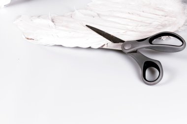 makas kesim meleğin kanadı