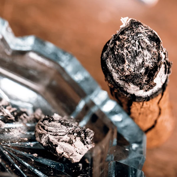 Expensive hand-rolled cigar on a while background — Stock Photo, Image