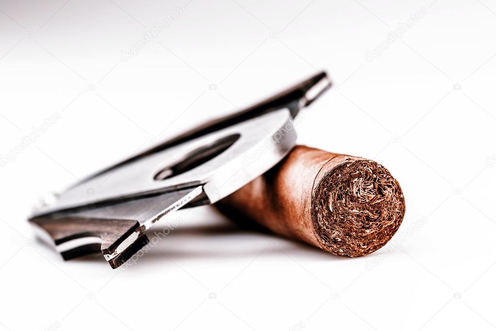 Cigar and cutter on a white background