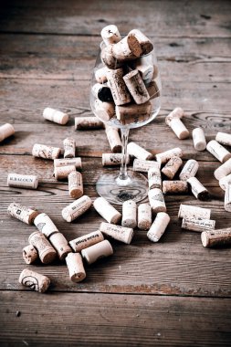 Vintage mantar ve cam