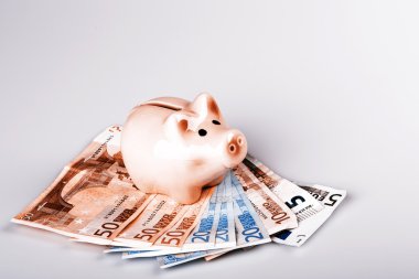 domuz banka euro banknot üzerinde