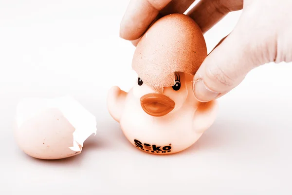 Yellow small plastic duck with egg isolated on a white backgroun — Stock Photo, Image