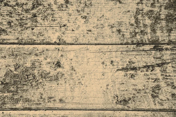 La textura de la madera de la cáscara del color con patrones naturales —  Fotos de Stock