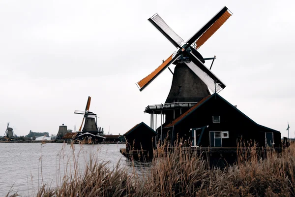 Windmolen — Stockfoto