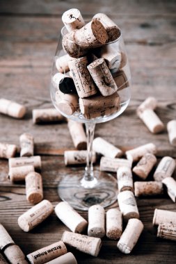 Vintage mantar ve cam