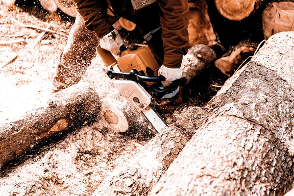 Mann sägt Baumstamm in seinem Hinterhof — Stockfoto