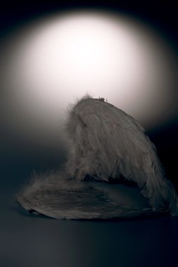 meleğin kanatları beyaz zemin üzerine kızdırma