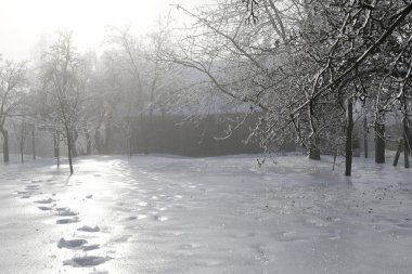 Güzel kış manzarası