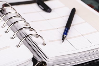 özel tertipçi ya da beyaz zemin üzerine kalem planlayıcısı