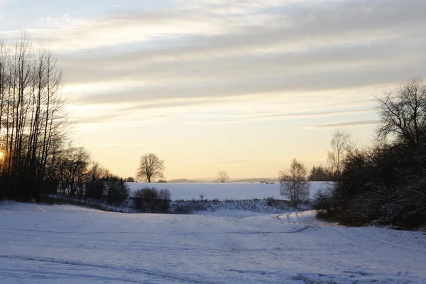 Vackert vinterlandskap — Stockfoto