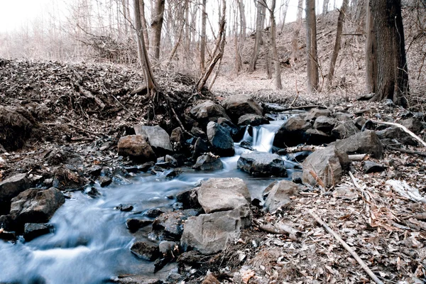 Ruisseau d'automne - l'eau dans la forêt — Photo