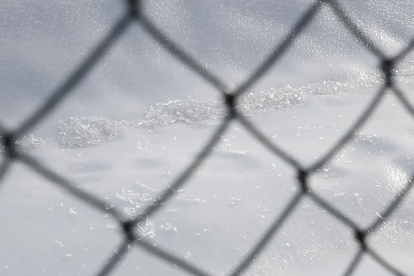 Clôture gelée - neige blanche — Photo