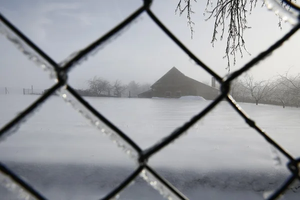 Fryst staket - vit snö — Stockfoto