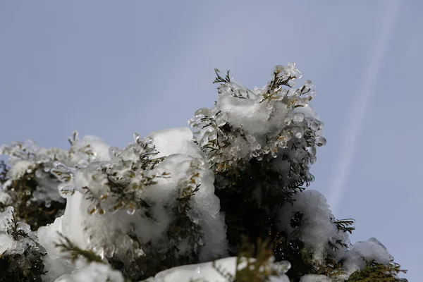 Vackert vinterlandskap — Stockfoto