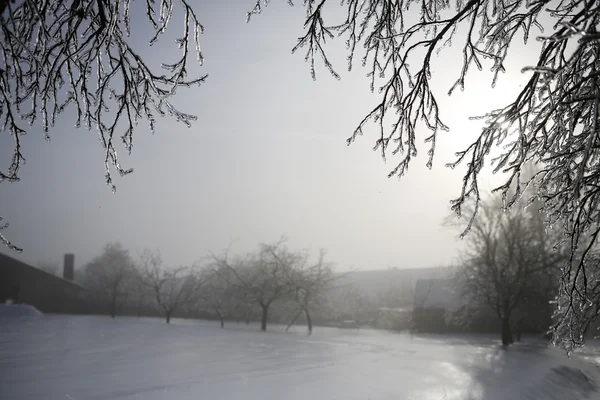 Paisagem de inverno com neve — Fotografia de Stock