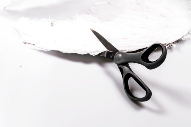 makas kesim meleğin kanadı