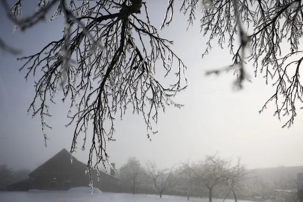 Paisaje de invierno con nieve —  Fotos de Stock