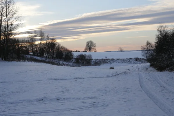 Paesaggio invernale con neve — Foto Stock