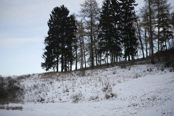 Paisaje de invierno con nieve —  Fotos de Stock